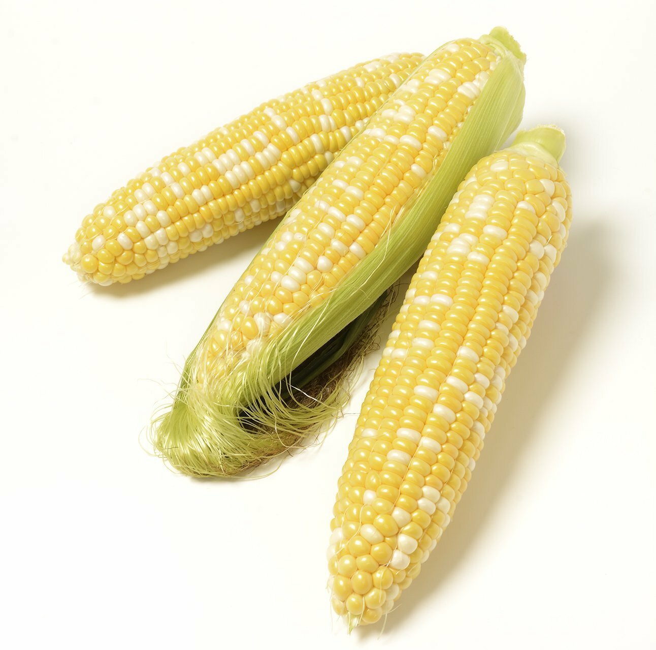 Organic Double Standard Corn – Zea mays