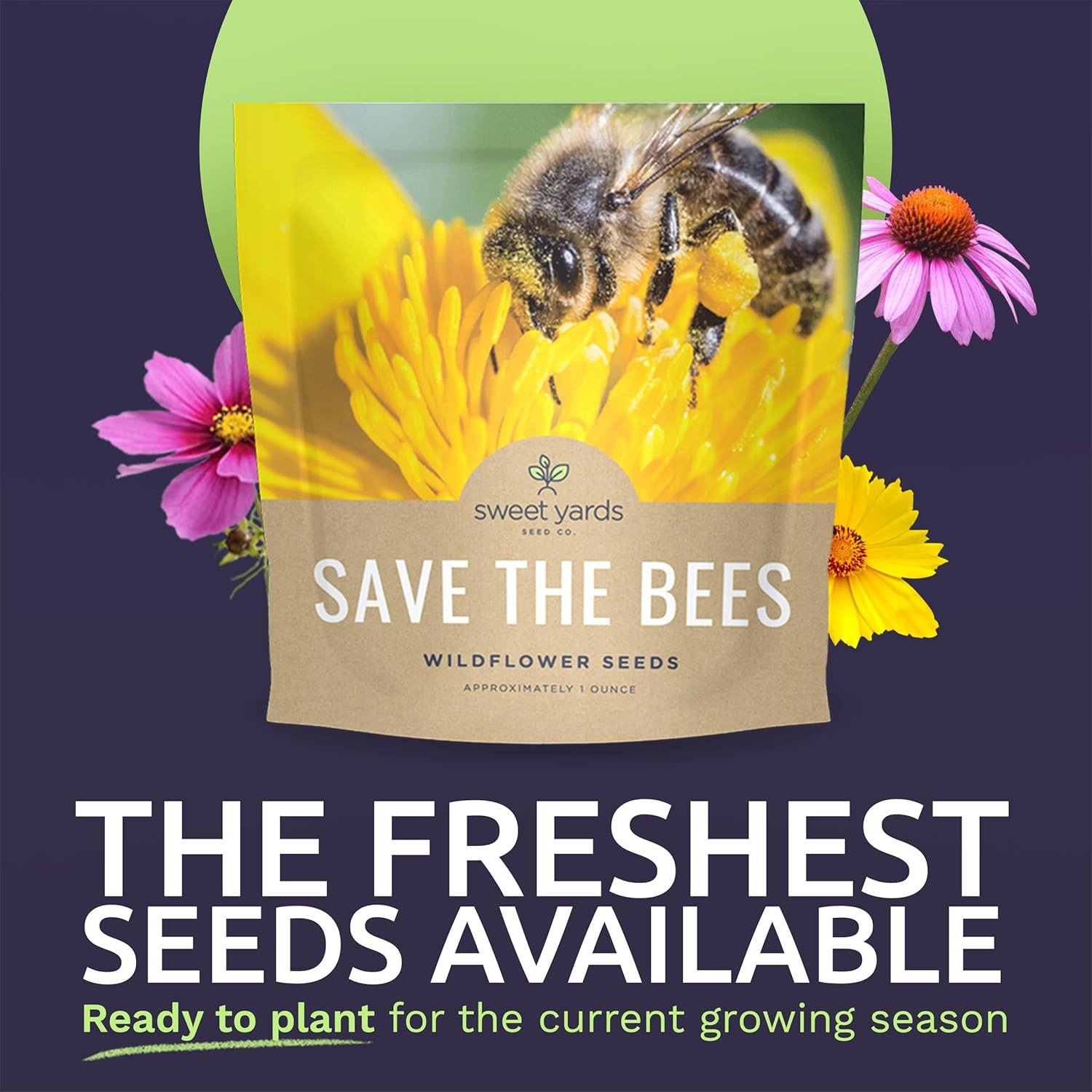 Bee Friendly Wildflower Seed Mix – Bulk 1 Ounce Packet – over 7,500 Open