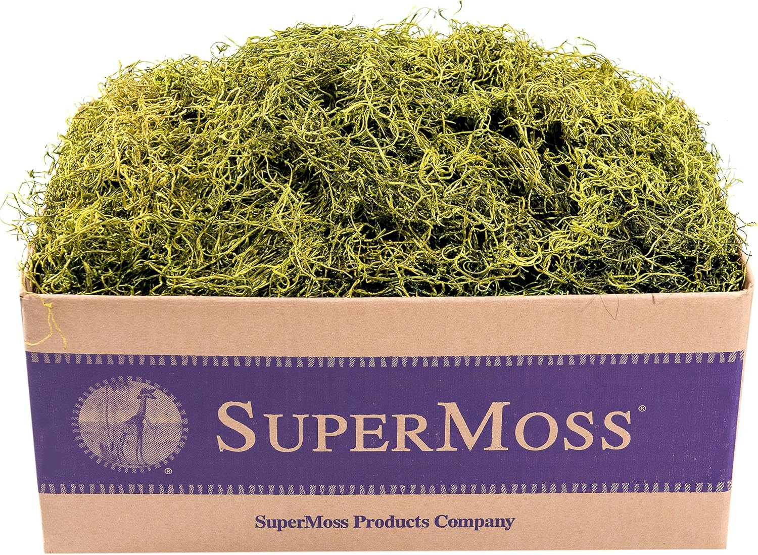 Spanish Moss Preserved, Chartreuse, 3Lbs | Decorative Moss