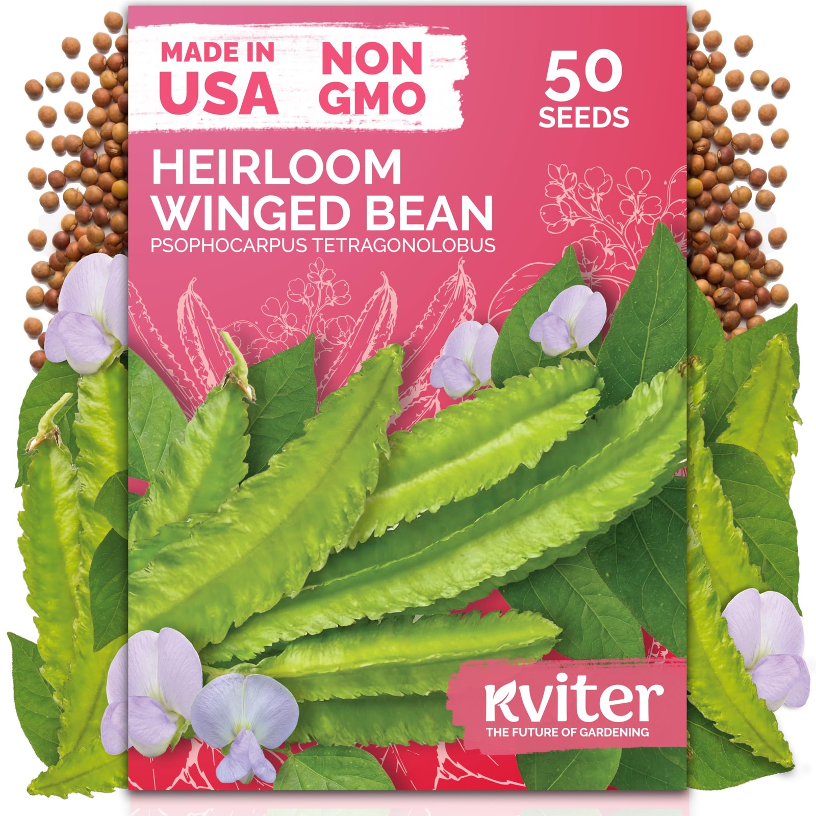 KVITER 50 Winged Bean Seeds (Psophocarpus Tetragonolobus)