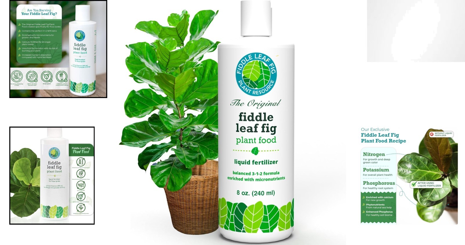 Ultimate 3-1-2 NPK Liquid Fertilizer for Ficus Lyrata – 8 Oz of Nutrient Boost
