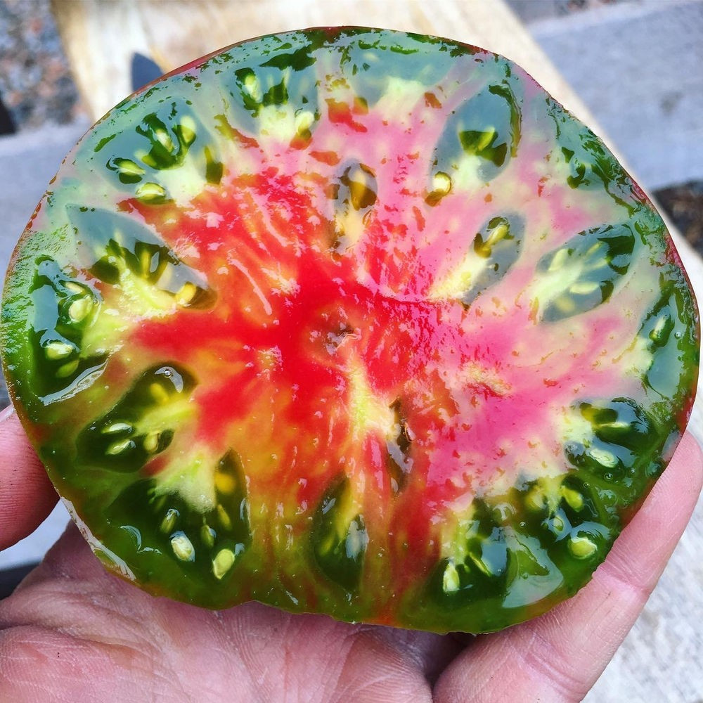 120+ Ananas Noire Tomato Seeds – Black Pineapple — Heirloom – Organic — RARE