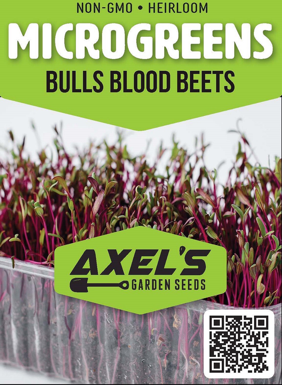 Bulls Blood Beet MICROGREEN Seeds | NON-GMO | Heirloom | Seeds for Sprouting