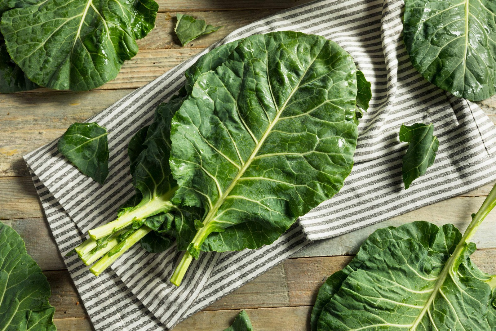 1000 GEORGIA COLLARDS (SOUTHERN / Walking) Collard Greens Brassica Oleracea Seed