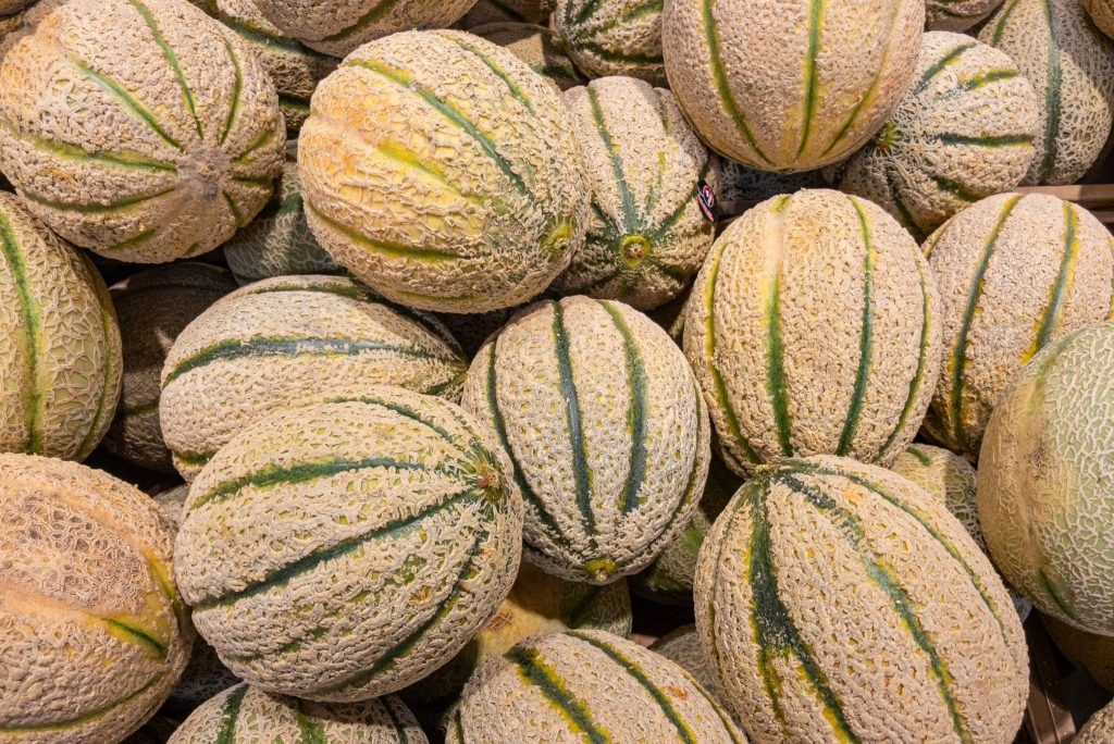 Tuscany Melon Seeds 50+ Cucumis Melo Fruit Melon USA NON-GMO HEAT TOLERANT