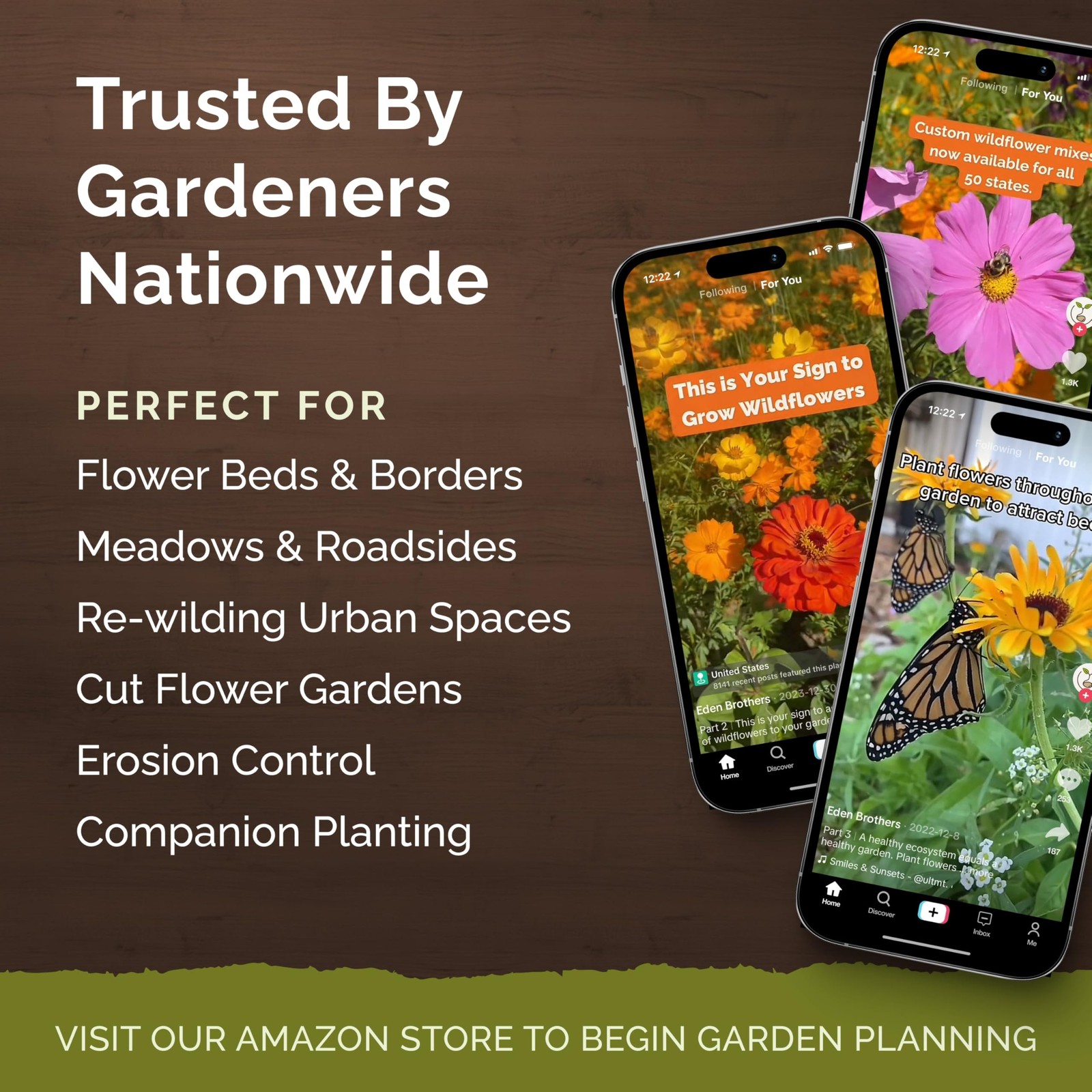 Eden Brothers All Perennial Wildflower Seed Mix for 1/4 Pound, Mixed