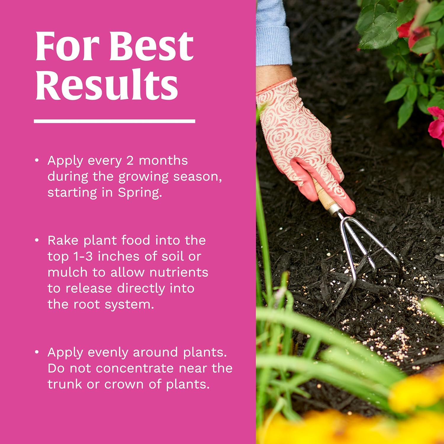 Scotts Rose & Bloom Continuous Release Plant Food, 3 Lb