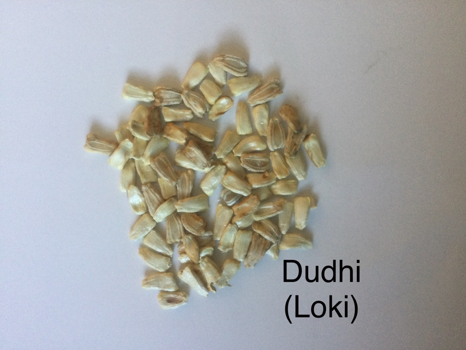 Seeds(Organic) All type, Please See Description