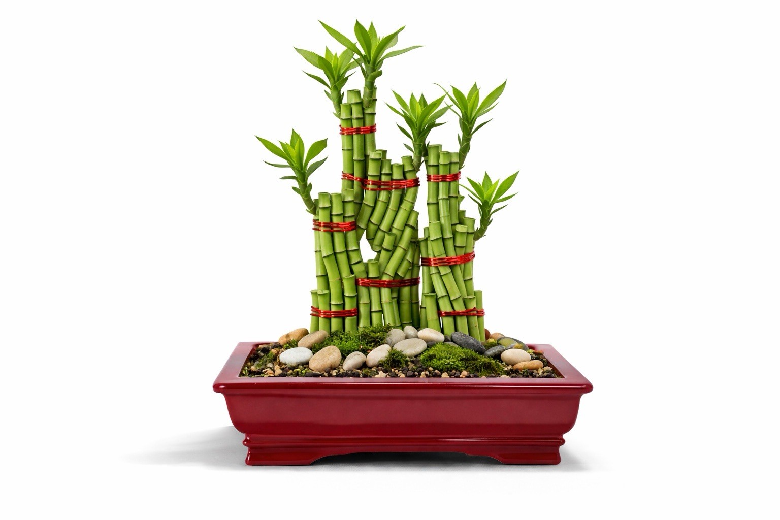 Unknown Japanese Tokoname Bonsai Tree Pot 10x6x3 Great Design Red Clay