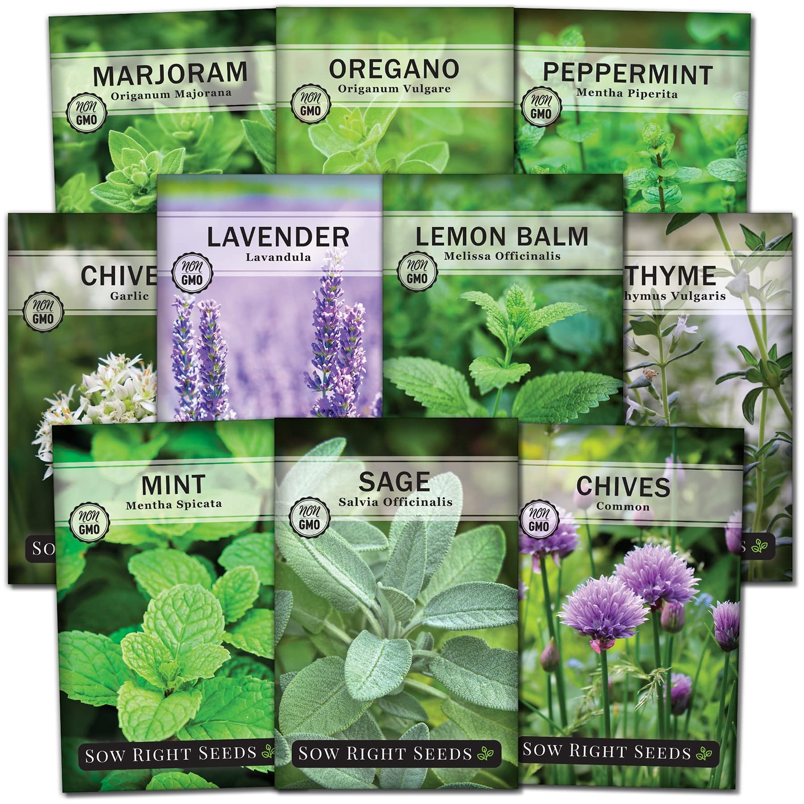 Sow Right Seeds – Perennial Herb Garden Seed Collection – Mint, Lavender, Mix