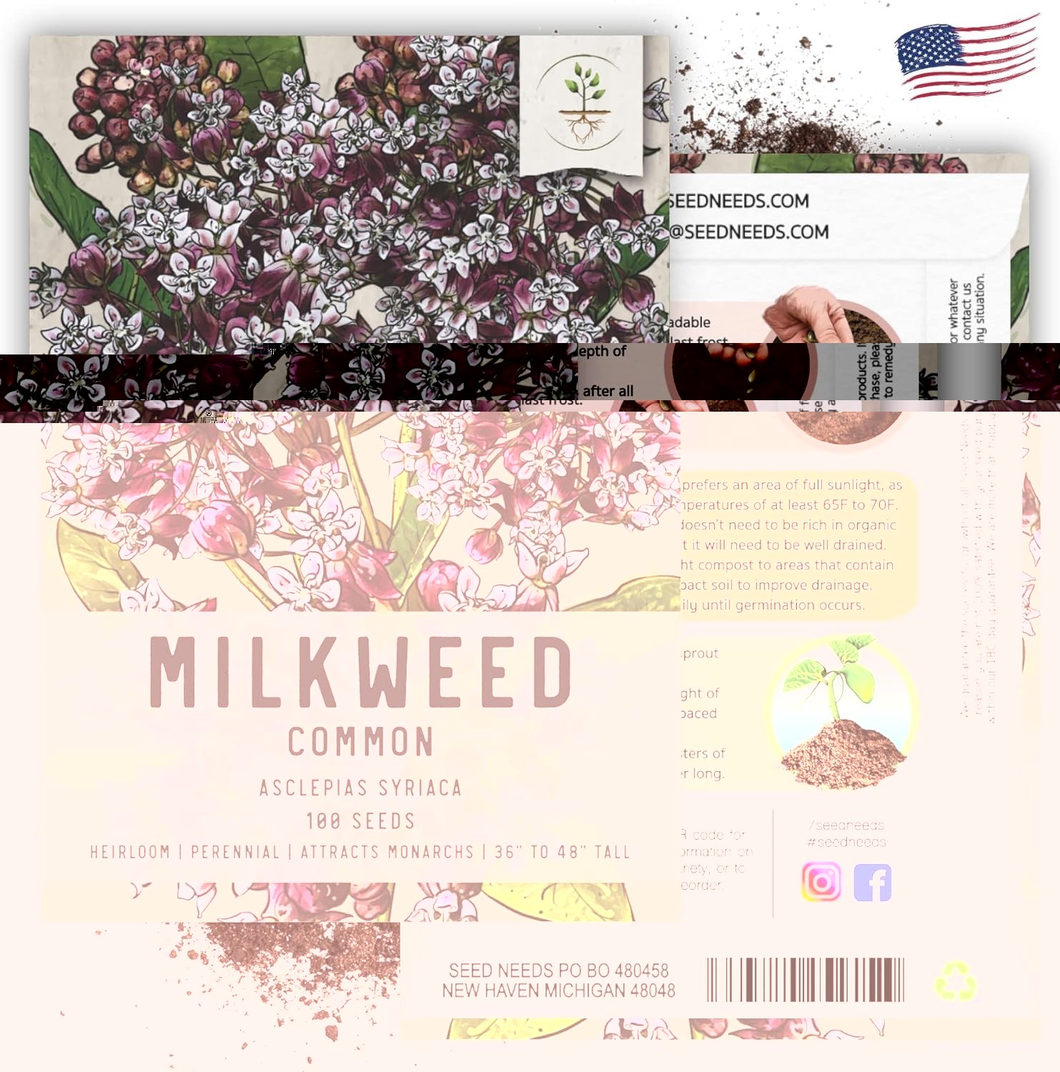 Common Asclepias Syriaca Milkweed Seeds – 1 Pack for Perennial Butterfly Blooms