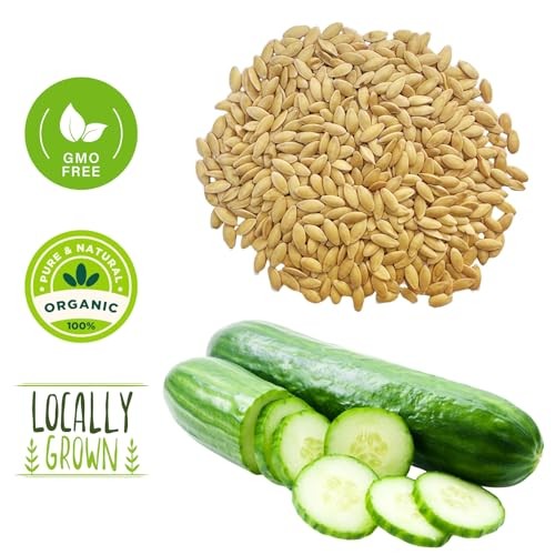 250+ Organic Marketmore Cucumber Seeds – 250 Seeds Marketmore Cucumber Antique