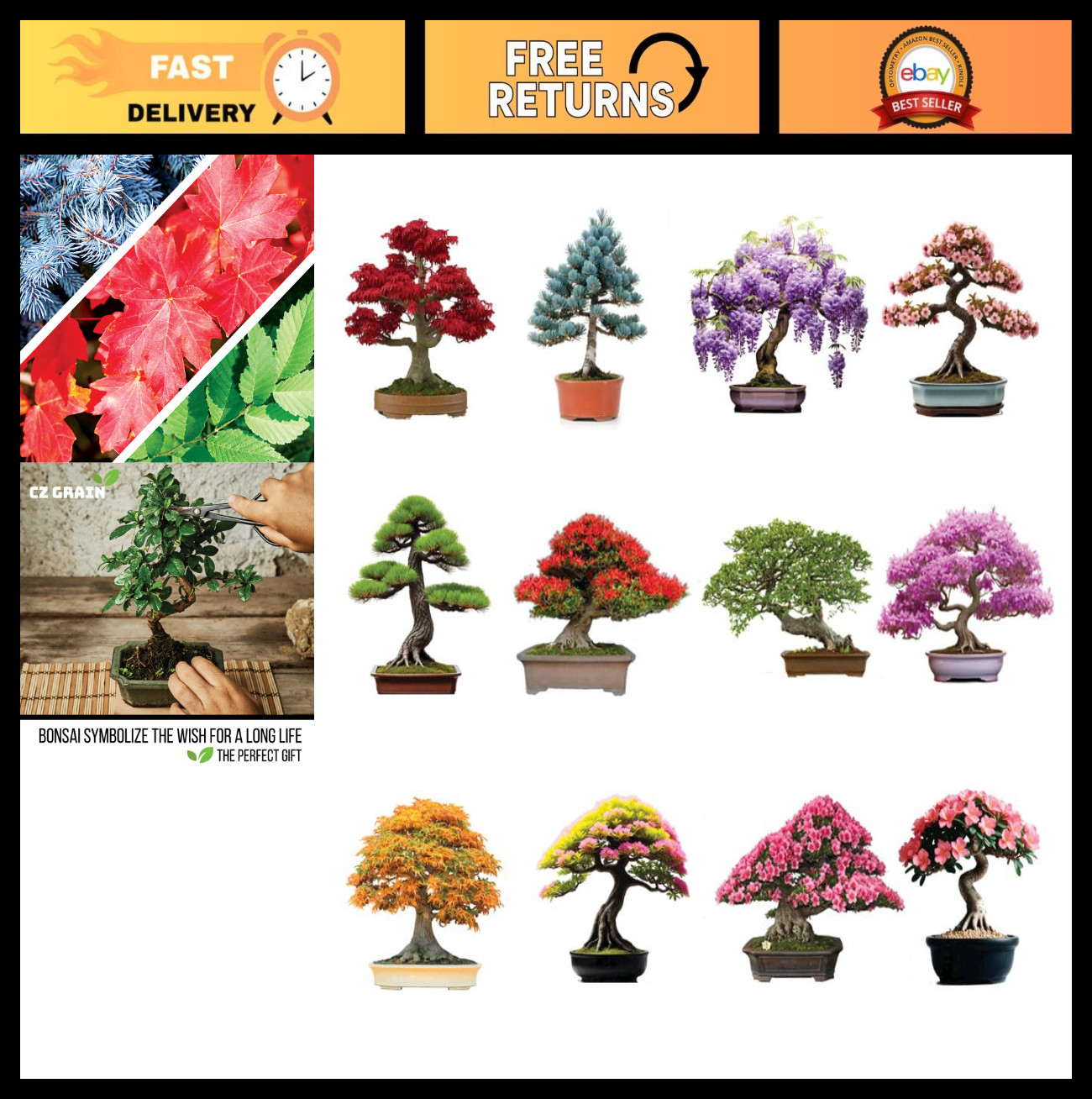 Bonsai Tree Seed Kit – 300+ Seeds: Red Maple, Blue Spruce, Cherry Blossom & More