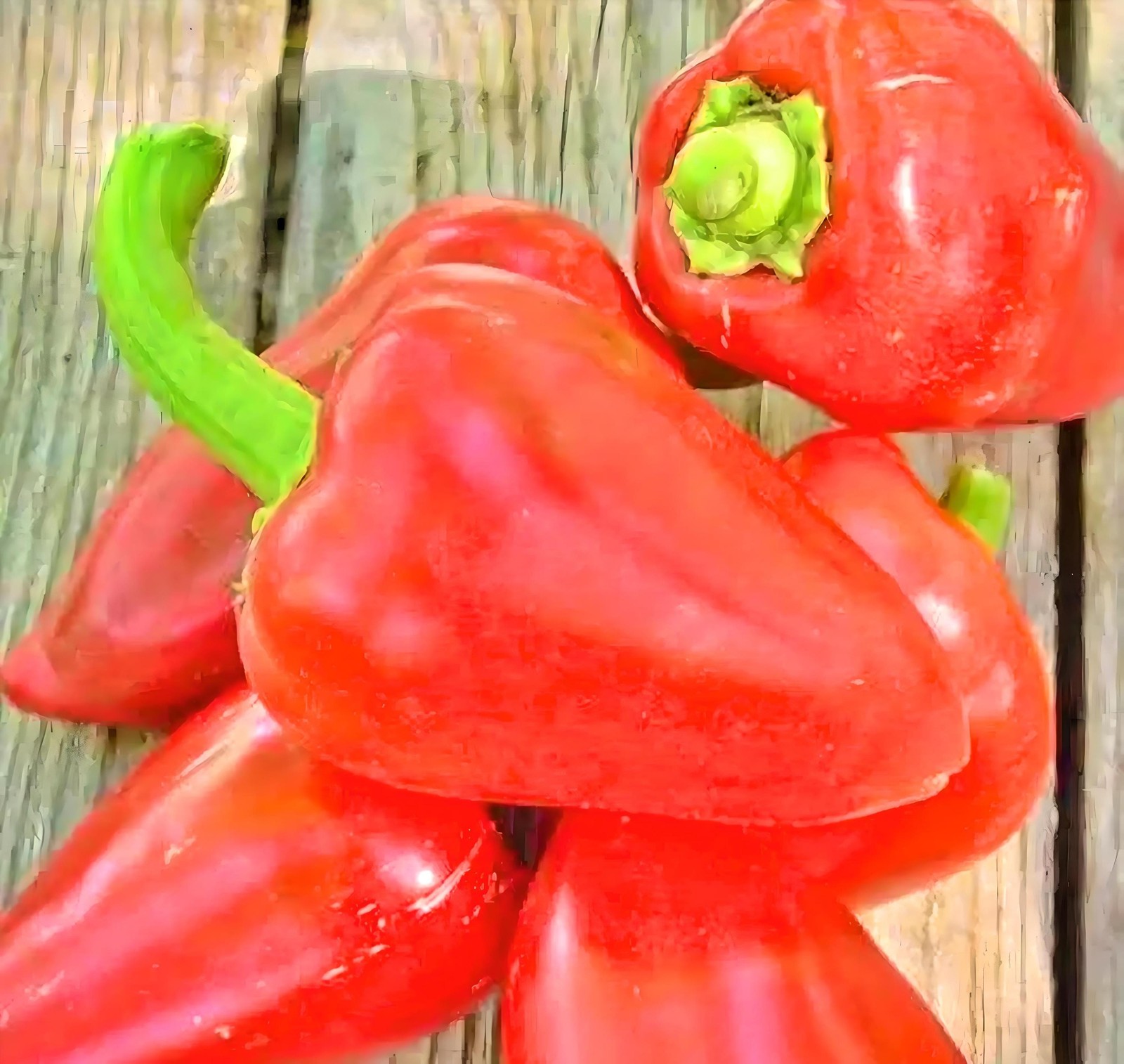 Pimento L, Sweet Pepper ABS