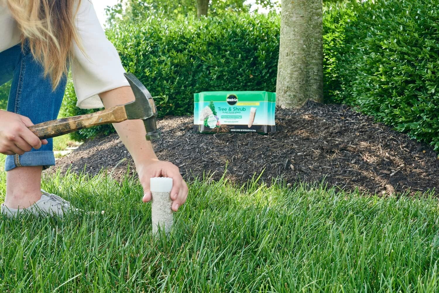 Nutrient-Rich Tree & Shrub Plant Food Spikes – Perfect for Spring & Fall Care