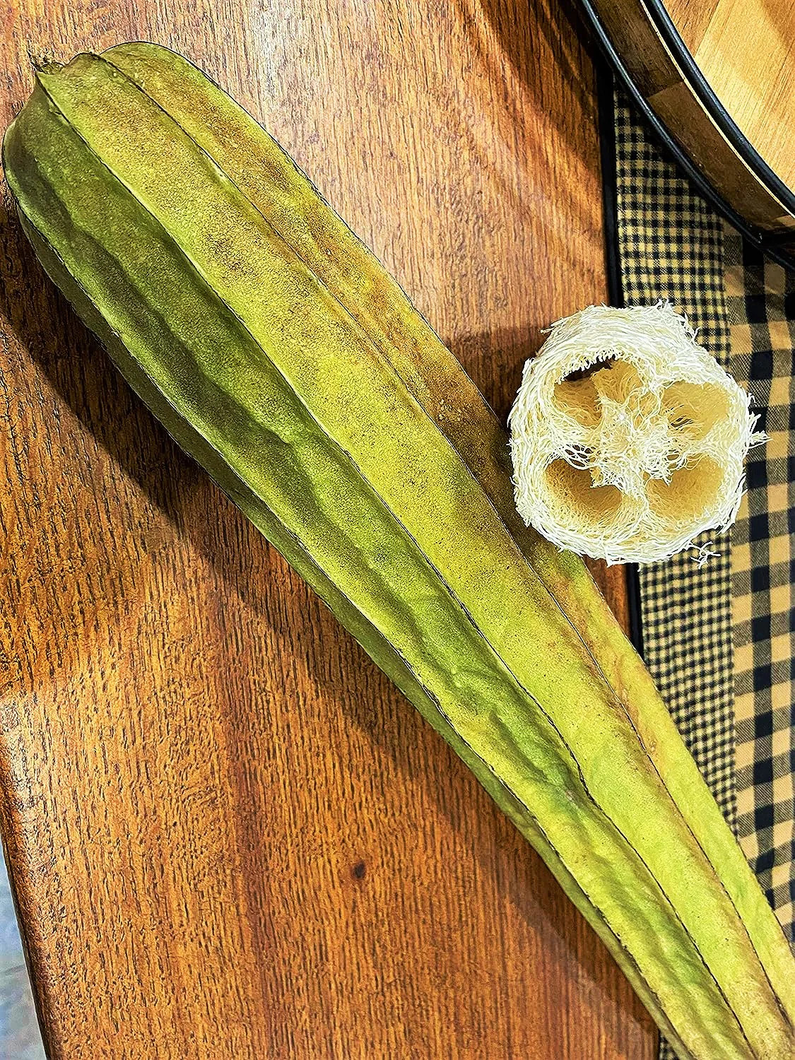 Bonanza Angled Luffa Gourd Seeds |Long Asian Okra Loofah Loofa Bitter Melon 2023