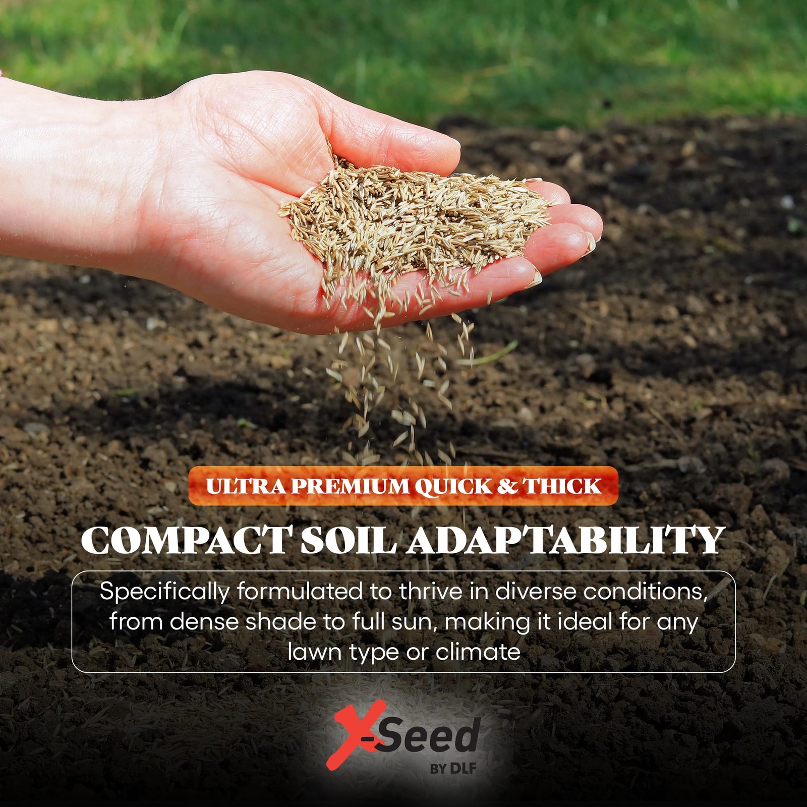 Ultra Premium Quick and Thick Lawn Seed Mixture – Rapid Germination for Any L…