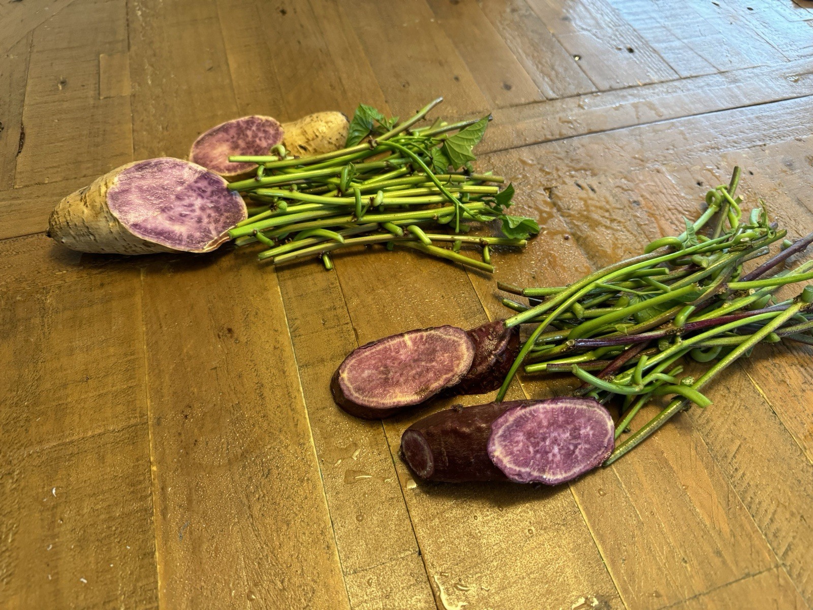 2 Varsities: 20 Molokai And 20 Okinawa Japan Sweet Purple Potato Slip Cuttings