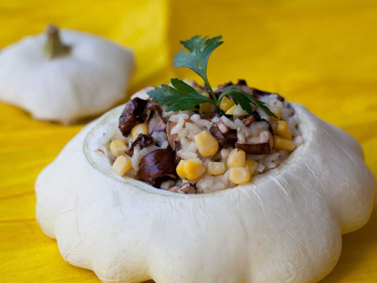 Early White Patty Pan Seeds | Bush Scallop Summer Squash Vegetable Seed New 2024