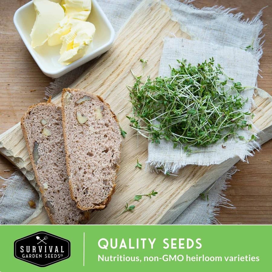 Broccoli Microgreen Seeds for Planting – Non-GMO Heirloom Green