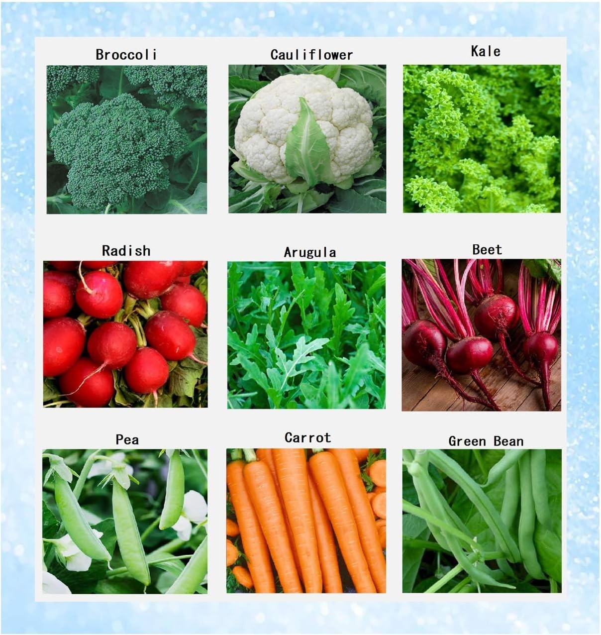 Winter Vegetable Seeds Collection for Planting Organic Non-GMO Heirloom Seeds…