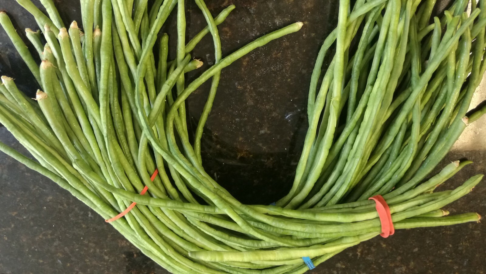 100 seeds Asparagus Bean (non GMO) delicious green tender pods