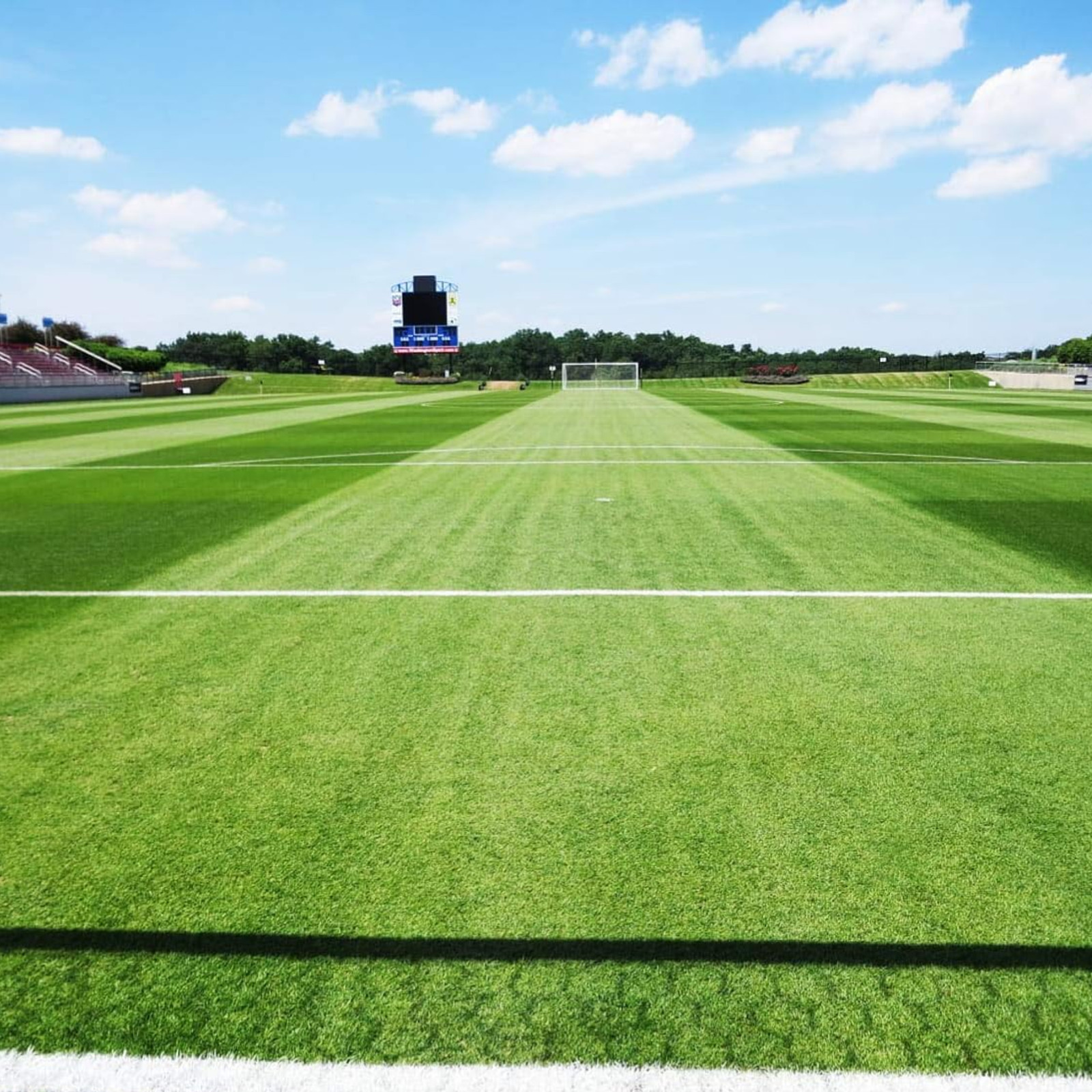 Barenbrug Turf Blue Grass with Yellow Jacket Seed Coating HGT Grass Seed, 25lb