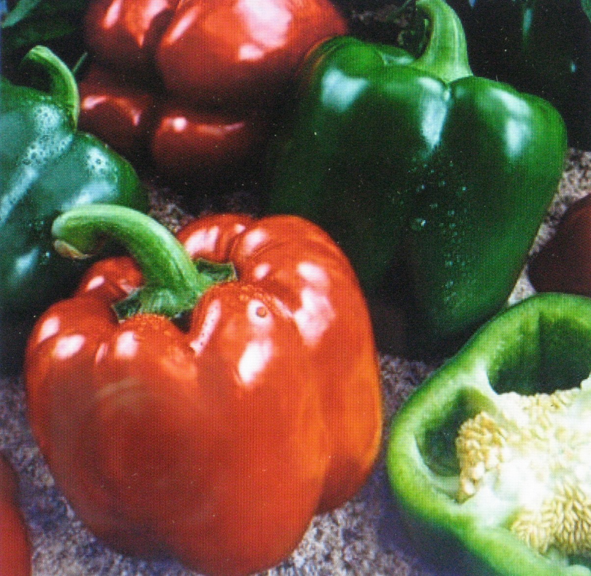 BULK * 300 SEEDS * SWEET GIANT PEPPER – KEYSTONE *