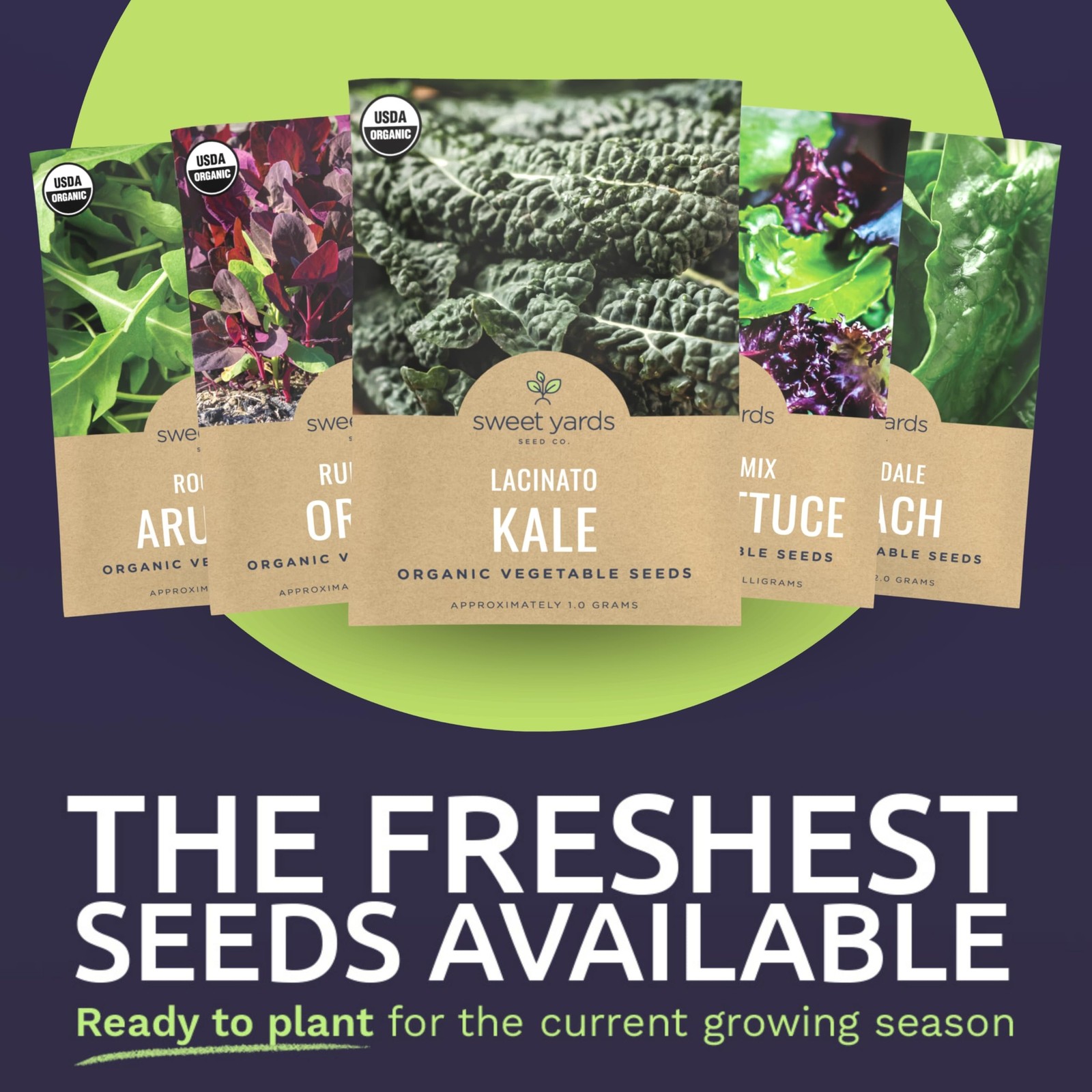 Organic Greens Seeds Variety Pack – 12 Non-GMO Packs for Indoor & Outdoor