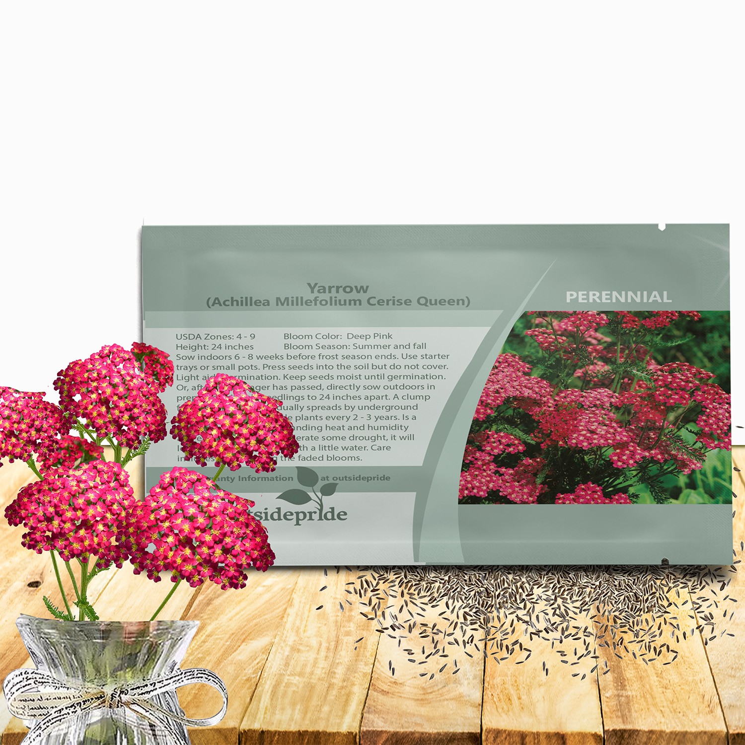 10000 Seeds Achillea Cerise Queen Drought Resistant Yarrow Garden Flower