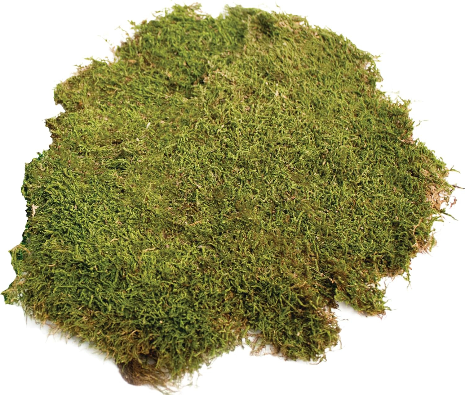 (21588) Sheet Moss Preserved, Natural, 5 Pounds (20-24 Sq. Ft.)