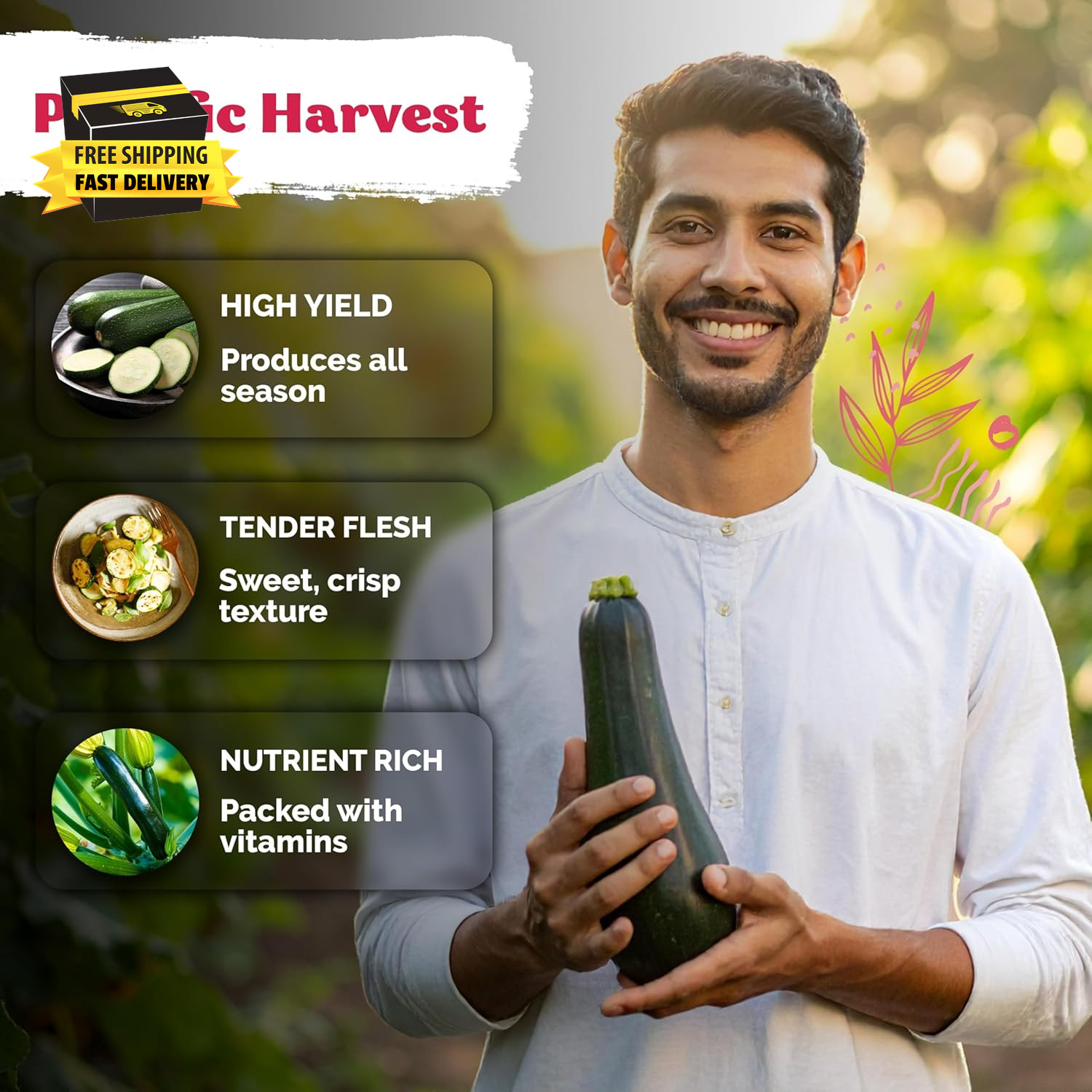 50 Black Beauty Zucchini Seeds for Planting (Cucurbita Pepo) – Non-Gmo Heirloom