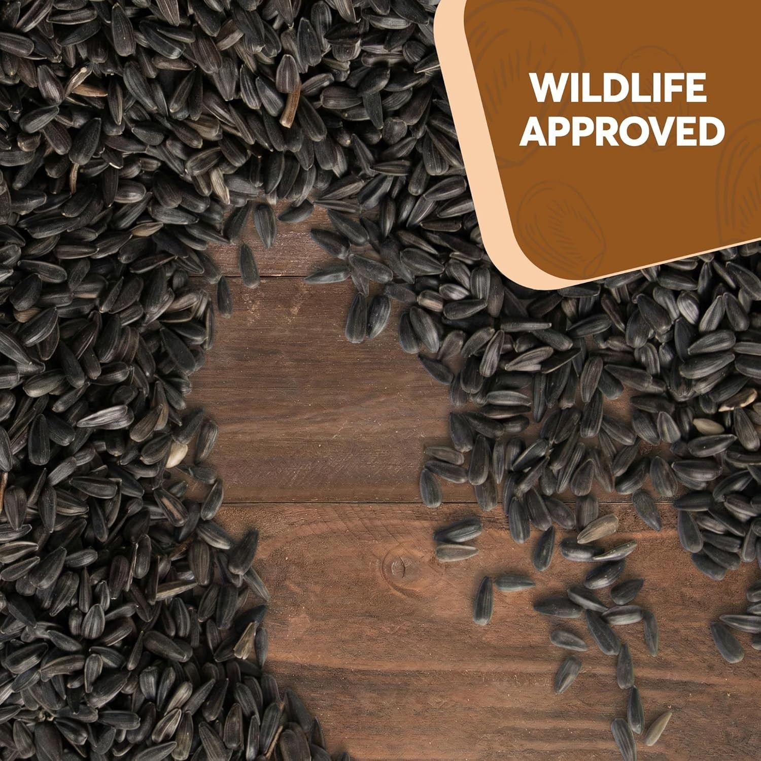 3 LB Black Oil Sunflower Seeds for Birds – Wildlife & Bird Food – Grown in …