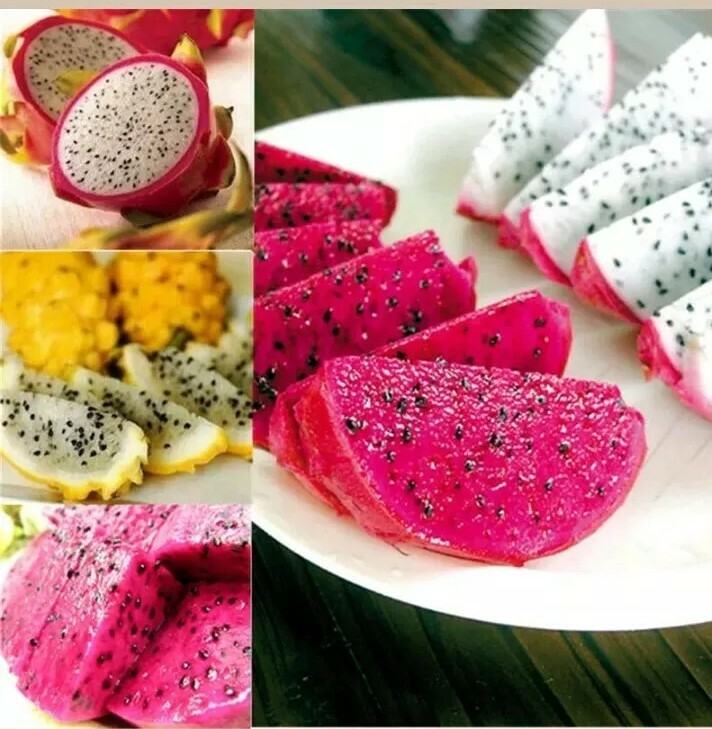 USA SELLER Dragon Fruit Mix (Red,purple, Yellow,White) 20+ seeds HEIRLOOM
