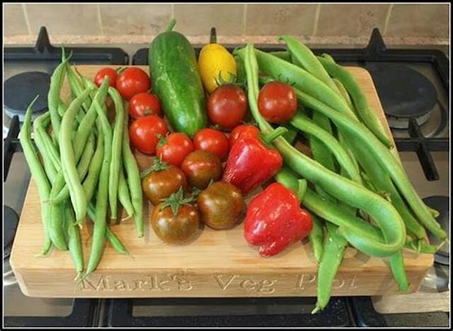 NON-GMO Vegetable Seeds 21 Variety Garden Emergency Survival Heirloom Seed Kit