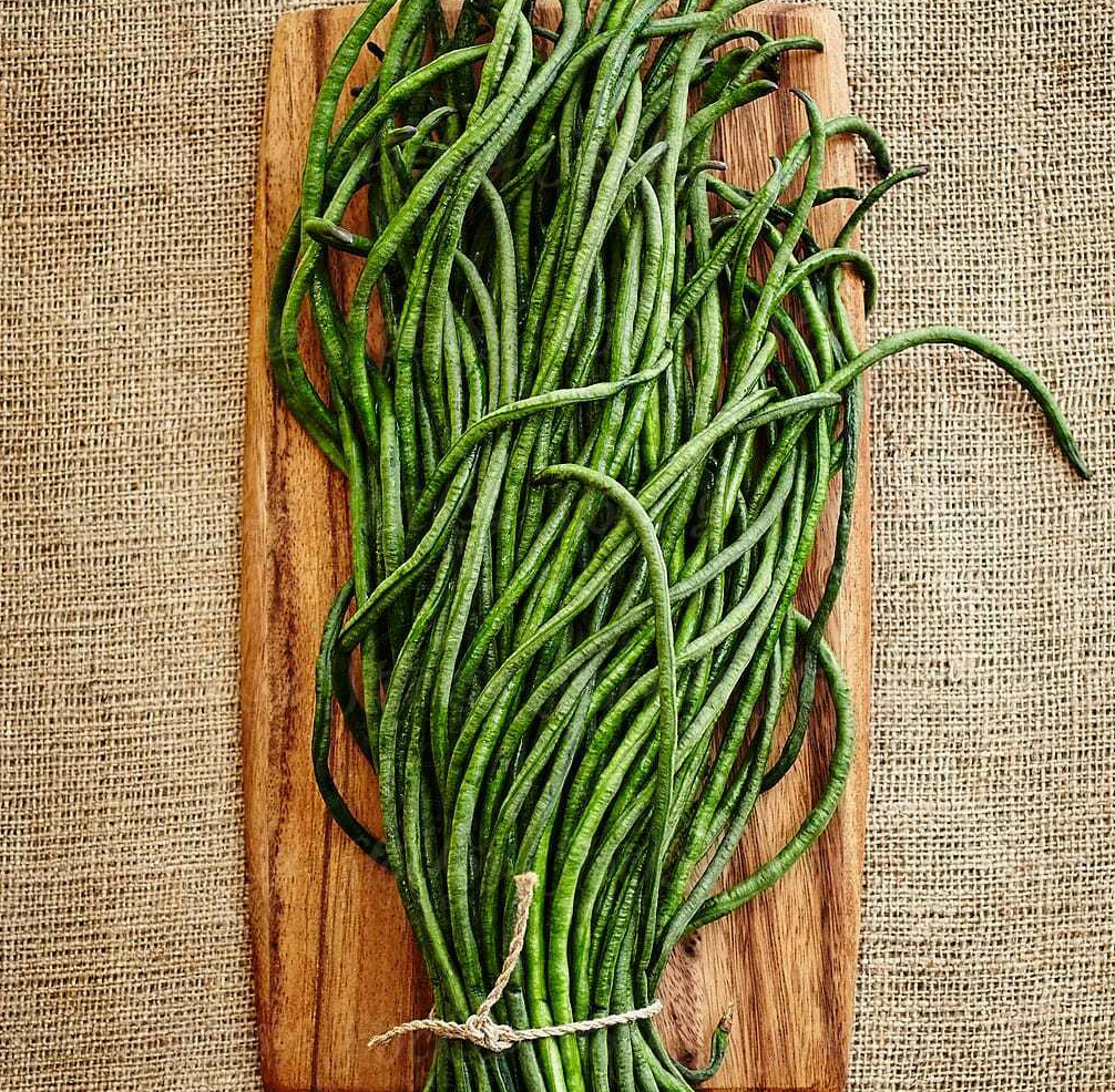 Yu Long Yard Long Bean Seeds | USA Asian Asparagus Chinese Green Beans Seed 2024