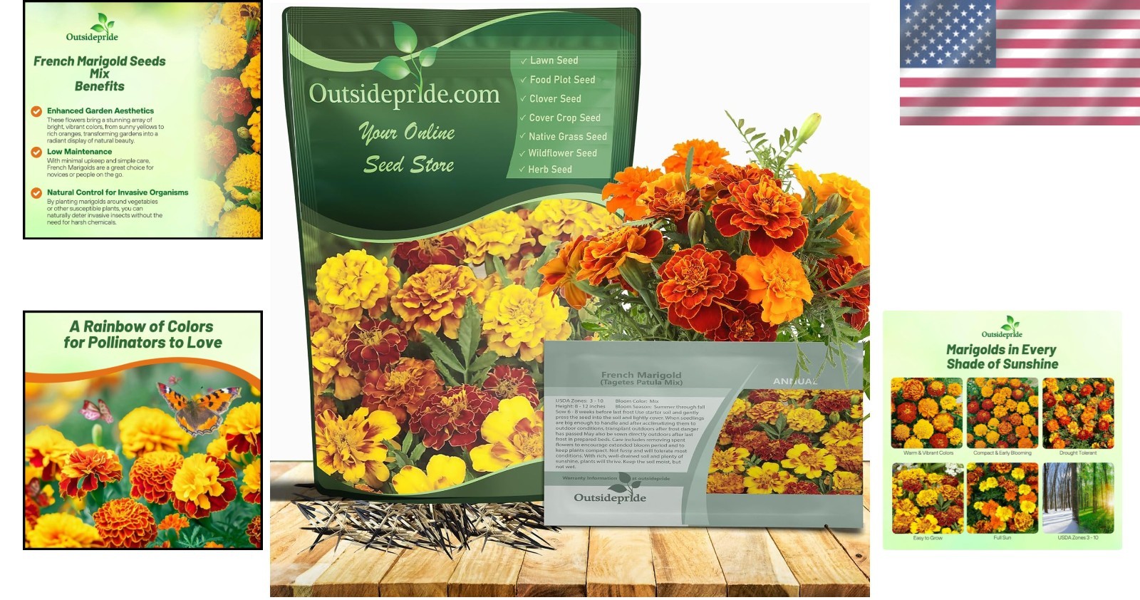 Low Maintenance Garden Marigold Seeds – Pollinator-Friendly