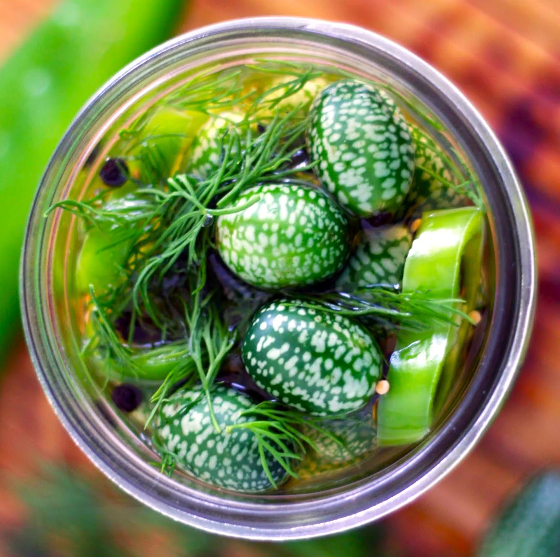 Cucamelon Seeds | Mexican Sour Gherkin Mouse Melon Pepquino Cucumber Seed 2025