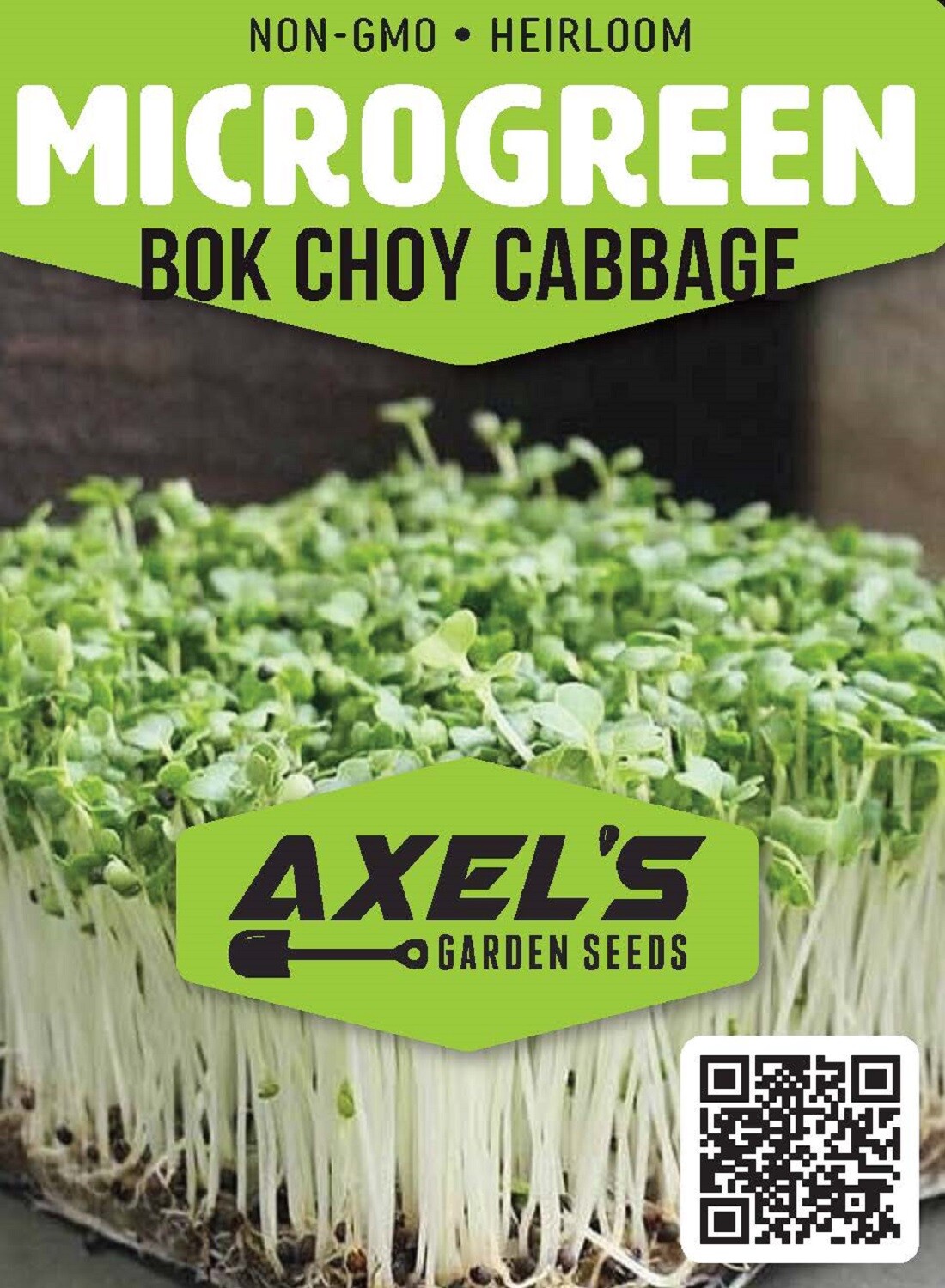 Bok Choy Cabbage MICROGREEN Seeds | Non-GMO | Heirloom | Seeds for Sprouting