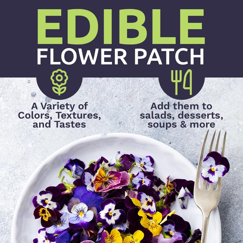 Edible Flowers Wildflower Seeds Mix Bulk 1/4 Pound Bag Over 30000 Seeds