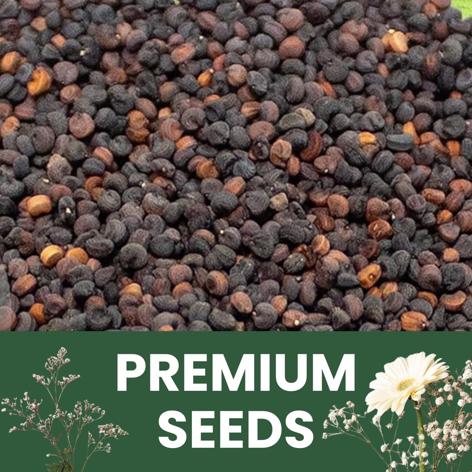 Buy 90,000 Baby’s Breath Seeds for Planting – 4 Ounce Pouch, 2026 Season