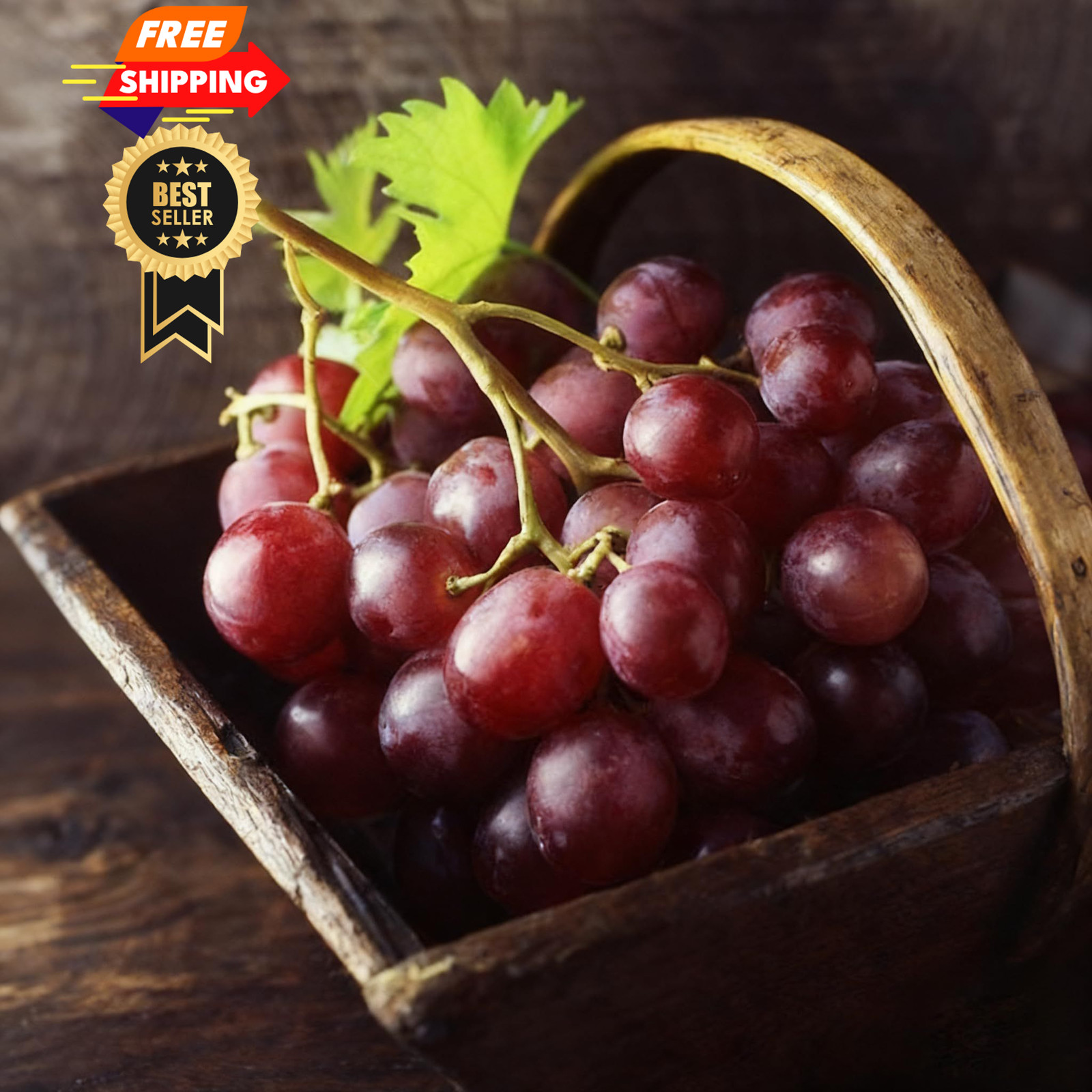 100+ Grape Fruit Seeds for Planting, Vitis vinifera Seed, Non-GMO Red