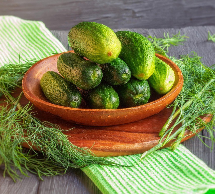 Organic Heirloom *BOUQUET* Dill Herb Seeds 🌿 Perfect for Pickles!