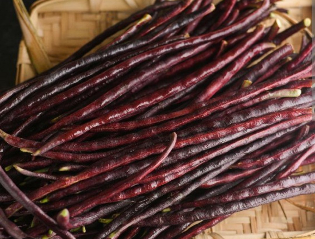 Red Dragon Snake Beans/Red Noodle Beans. Organic, Non GMO X 10 from Edie’s Eden
