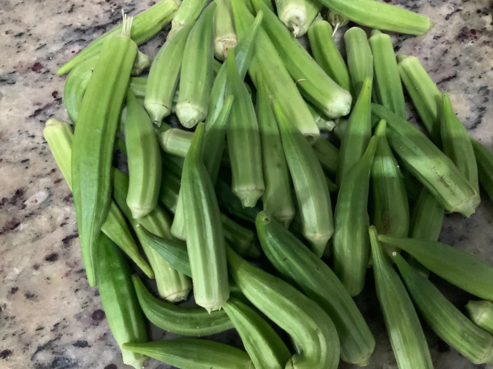 4pounds Organic fresh okra vegetables