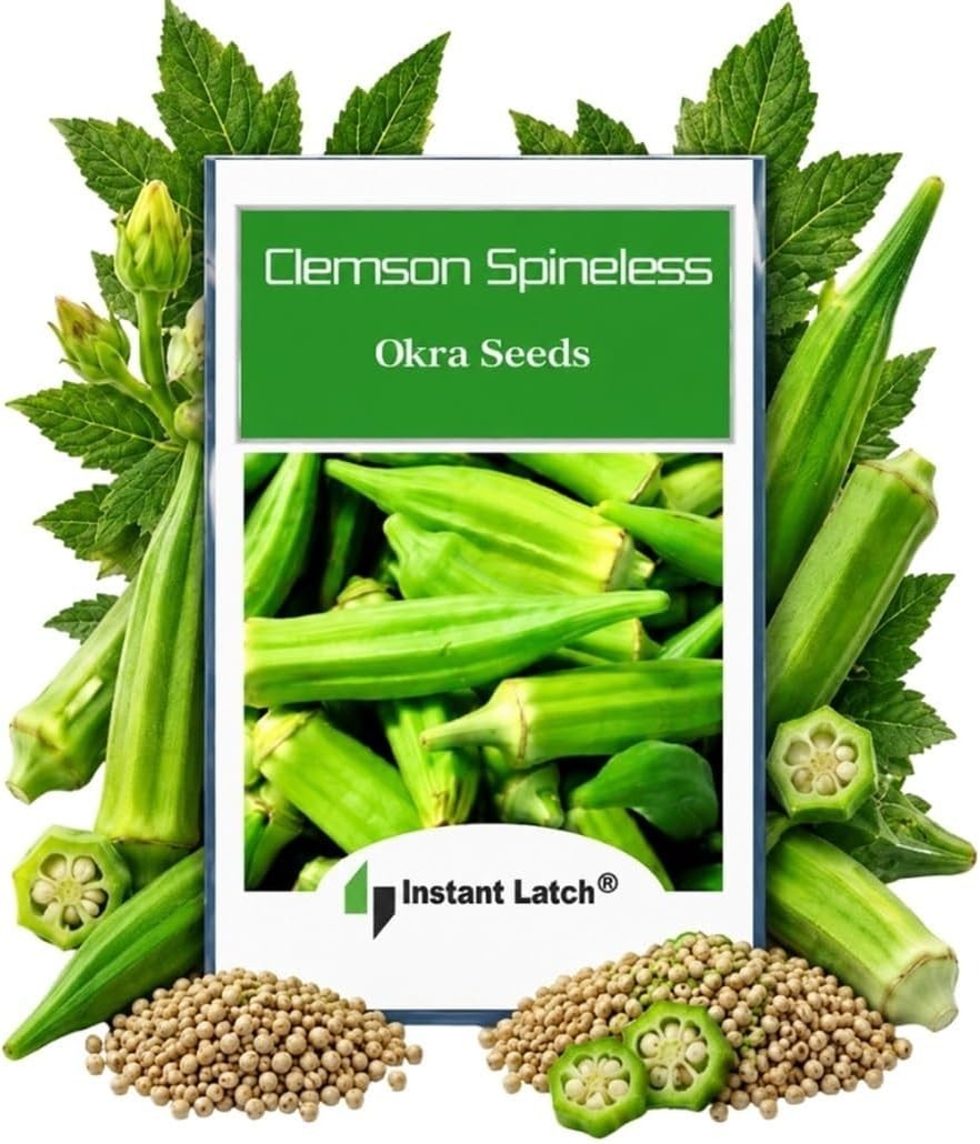 Fresh 100 Pack of Clemson Spineless Okra Seeds – Nutrient-Dense Heirloom Variety