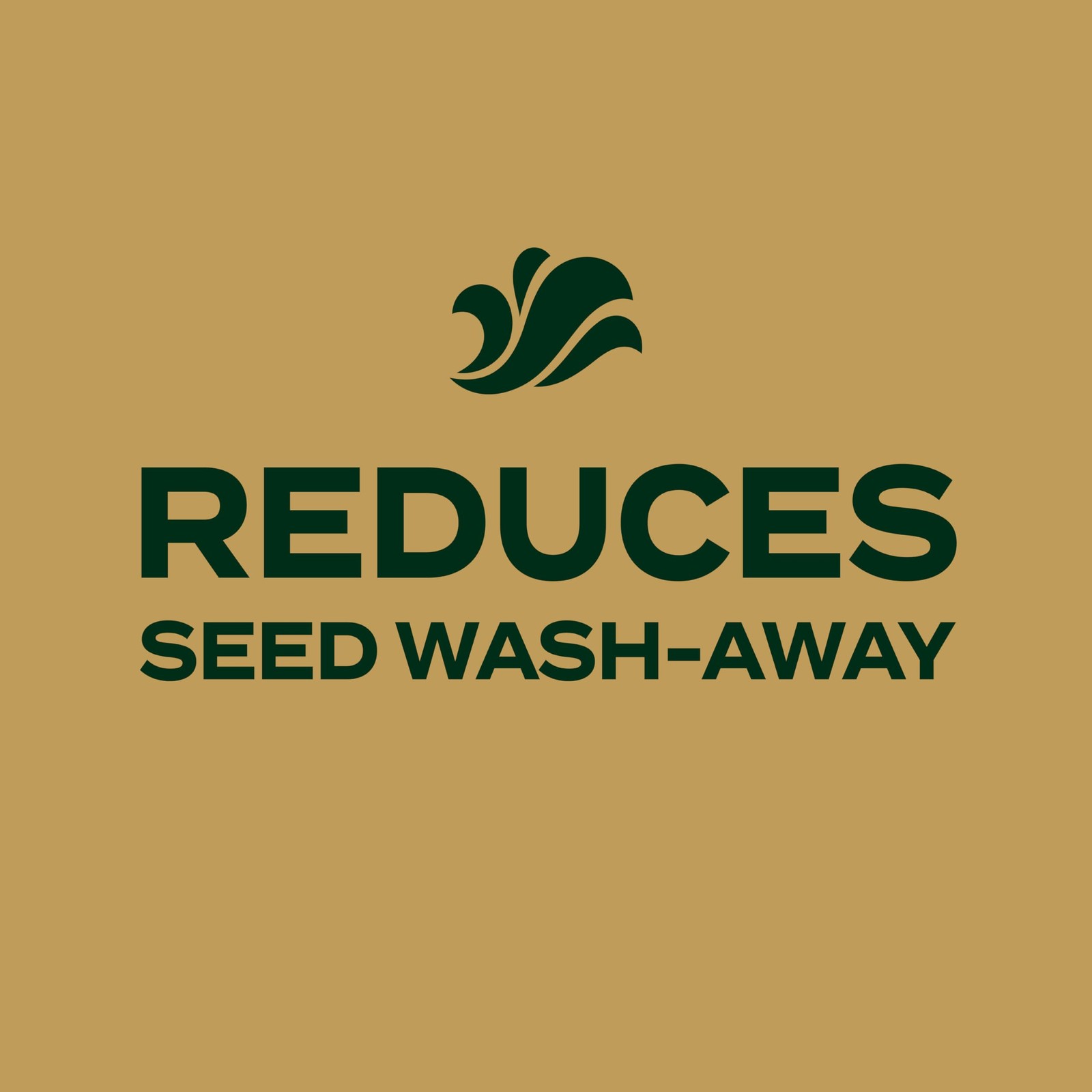 Scotts Ez Seed Patch And Repair Zoysia Grass Combination Mulch Grass Seed And
