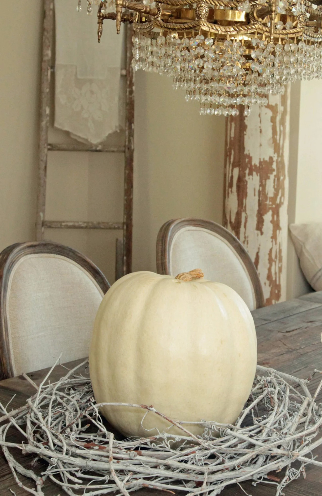 Casper White Pumpkin Seeds | Ghost Queen Lumina Polar Bear Pumpkins Seed 2024