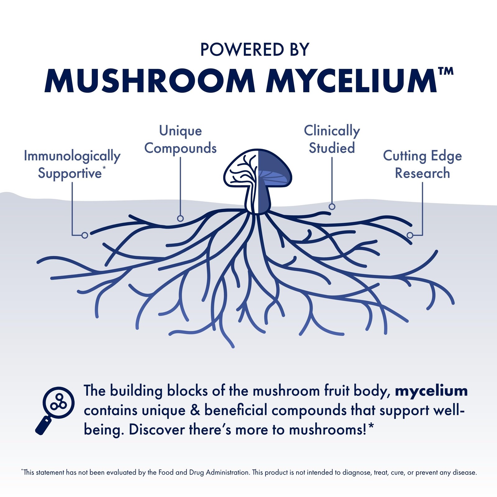 Host Defense Stamets 7-7 Species Blend – Mushroom 60 Count (Pack of 1)