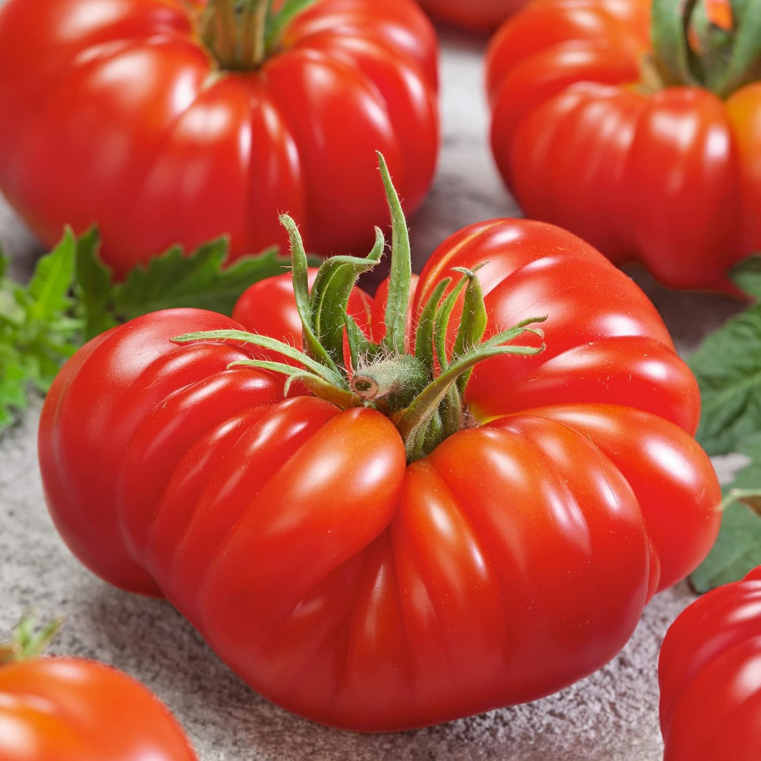 120+ OAXACAN PINK TOMATO SEEDS — MEXICAN — HEORLOOM — ORGANIC ——— RARE